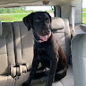 Meet your Posher, Hannah